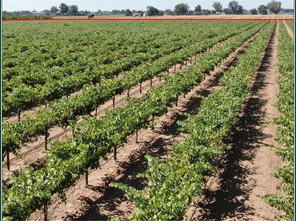 6860 E Jahant Rd, Acampo, CA 95220