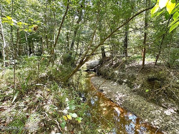 5th image of 5 County Road 24