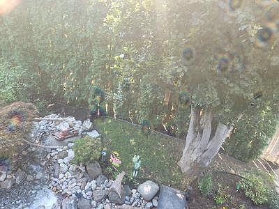 OVERLOOKING WATER FEATURE FROM PATIO