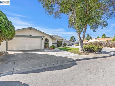 34331 Atteridge Ct, Fremont, CA, 94555