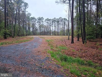 Holly Woods Rd, Sherwood, MD, 21665