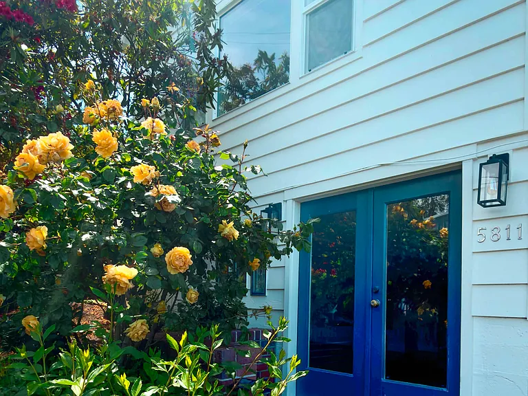 Ward avenue side of property