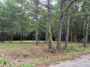 13 Pocahontas Ln, Carriere, MS 39426