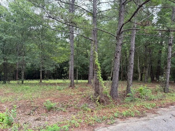 13 Pocahontas Ln, Carriere, MS 39426