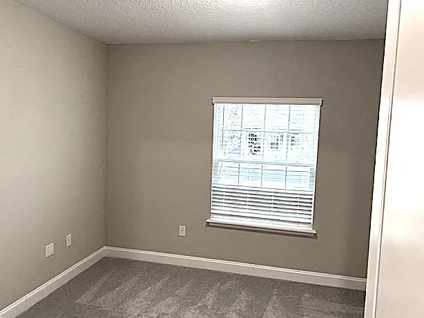 92 Cobalt Ln — Photo 17