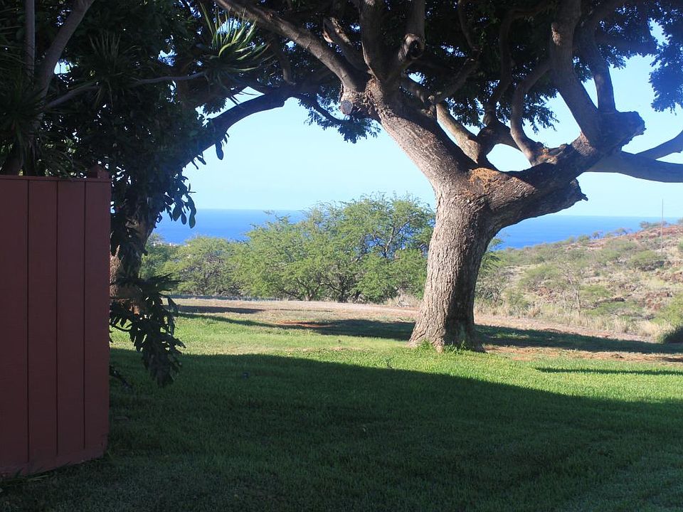 Backyard view