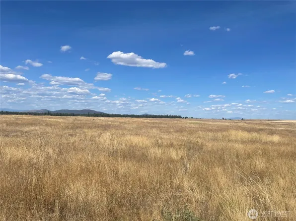 35251 Crescent Road N #3, Reardan, WA 99029