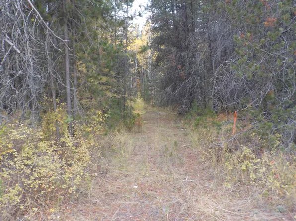 Ford Wellpenit Rd, Wellpinit, WA 99040