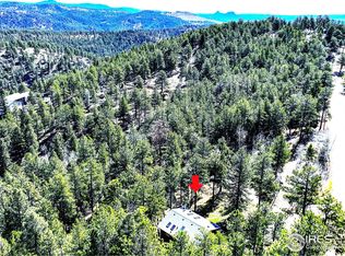 239 Catamount Ridge Rd, Bailey, CO 80421