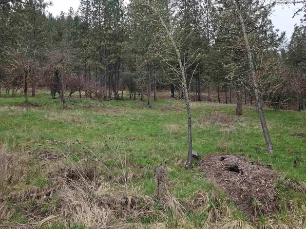 Pine St Lot 3, Peck, ID 83545