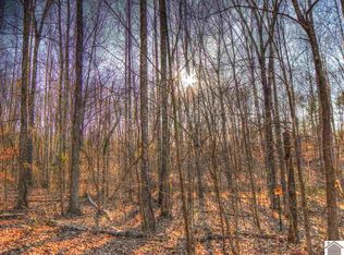 6473 Pottertown Rd, Murray, KY 42071