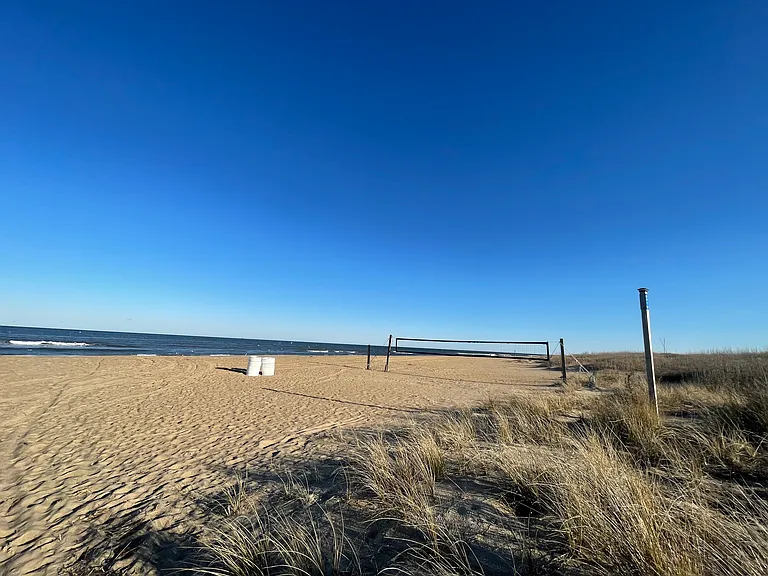 Neighborhood Beach