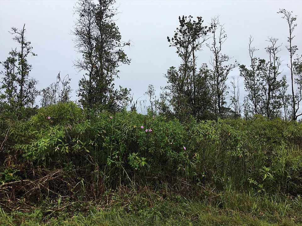 1st image of 27 Avenue