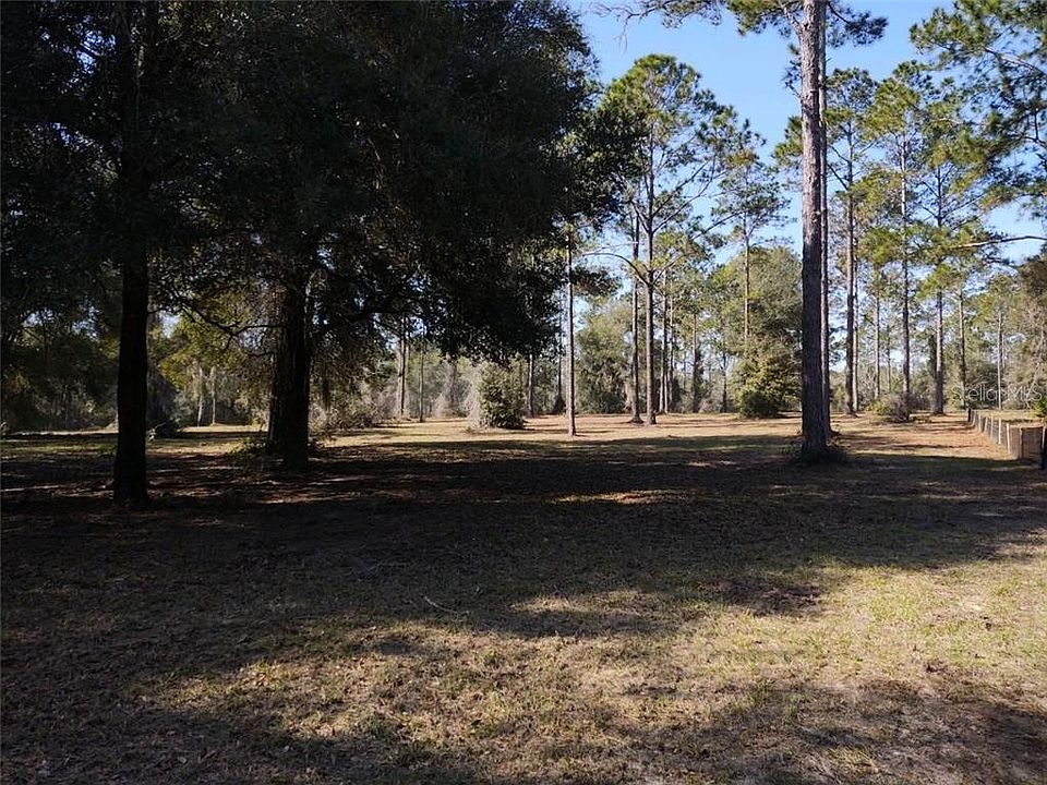 1st image of Bonsmara Dr