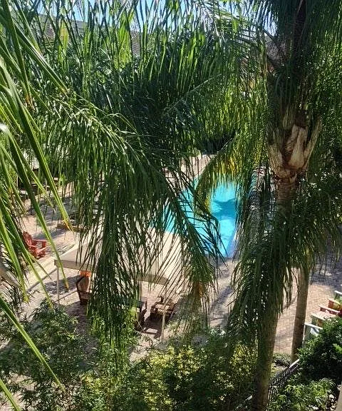 View from balcony