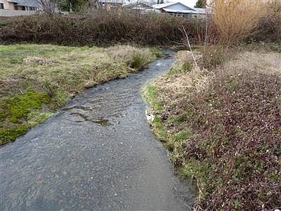 1st image of 0 Temple Dr