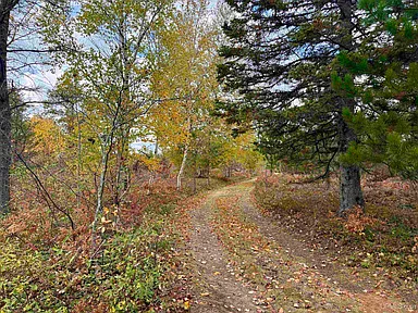 Property photo 19