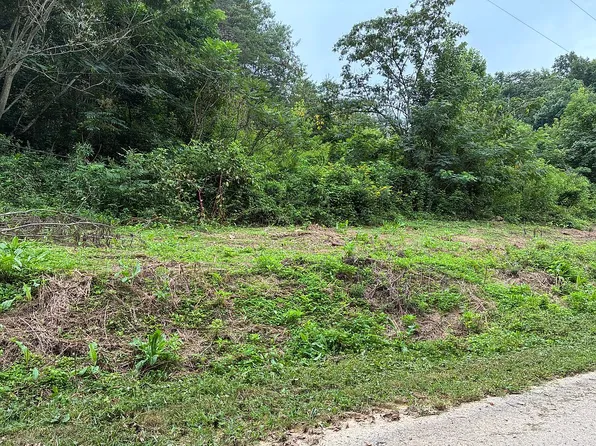 4712 Tiger Lilly Dr, Cosby, TN 37722