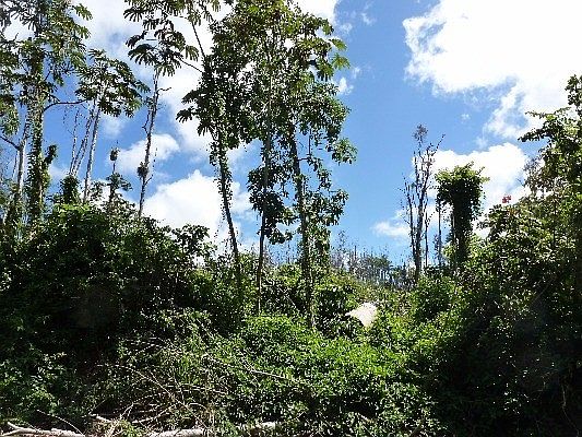 5th image of Malama St Lot 32-A