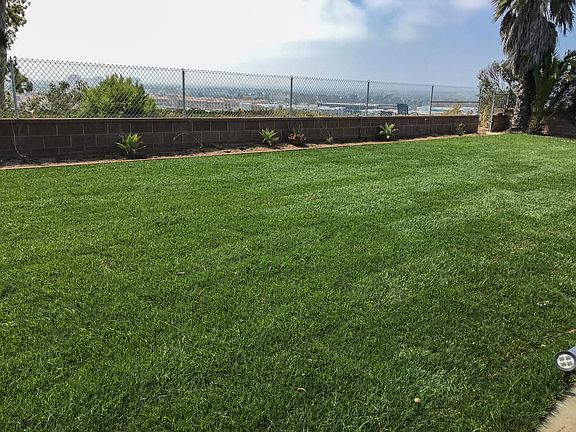 Imagine your kids playing, or you, entertaining guests in this huge lush backyard!