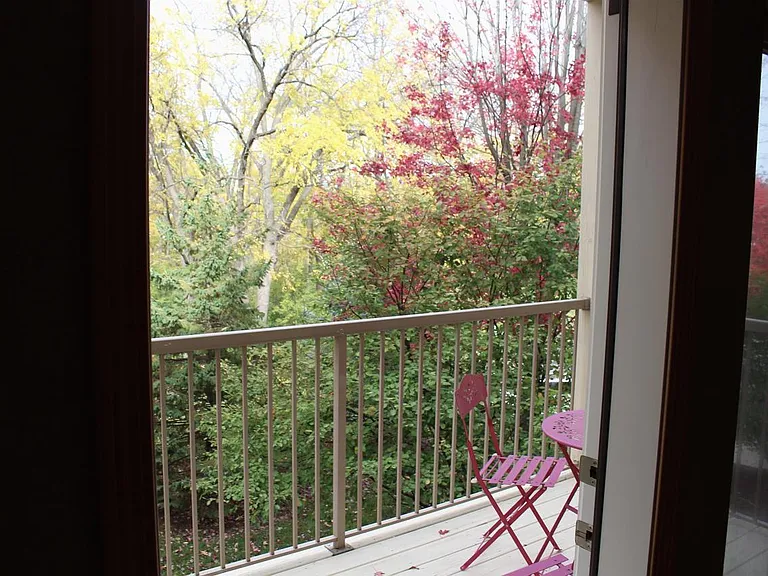Patio view