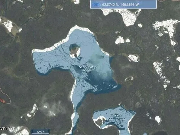 0 Road Sea Horse Lake Remote, Glennallen, AK 99588