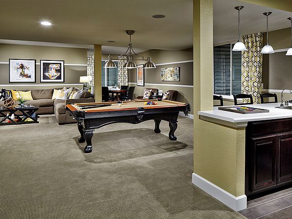 The entertainment options in the finished basement