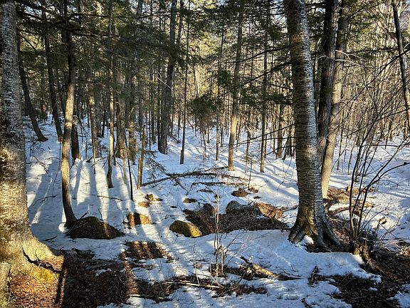 4th image of M7L31 Nelson Ridge Road N