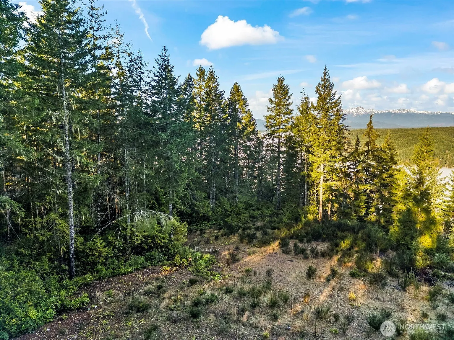 1123 E Timber Tides Drive photo 1