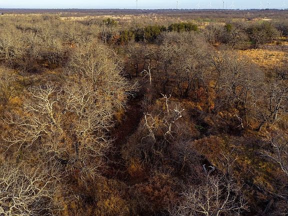 Dji 20260219081415 0652 D