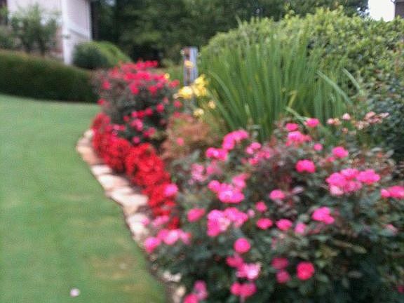 Gardens