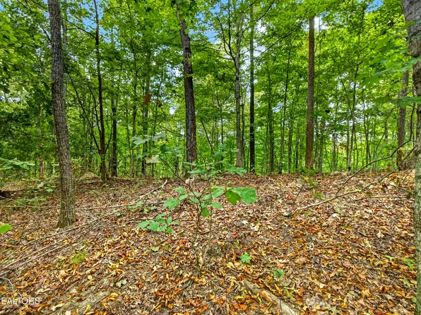28 & 29 Timber Ridge Ln, Celina, TN 38551