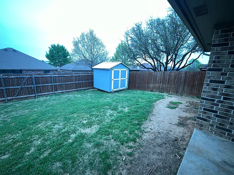 Backyard