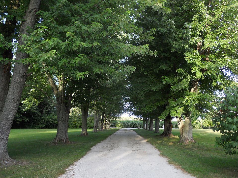 Driveway view of road