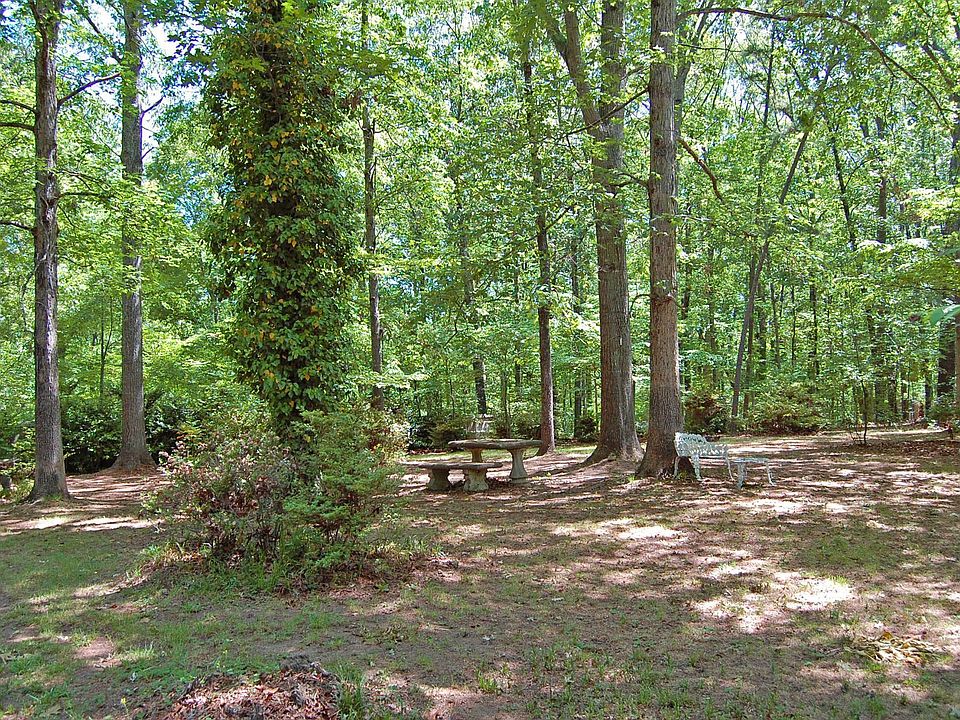 Park-like backyard