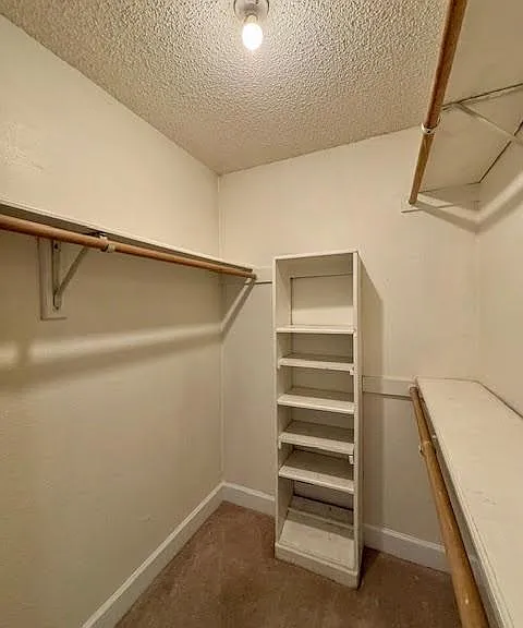 2 Purpletop Ct — Photo 20