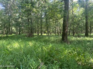 6083 Smith Station Rd, Edwards, MS 39066