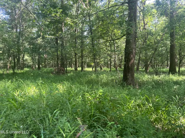 6083 Smith Station Rd, Edwards, MS 39066