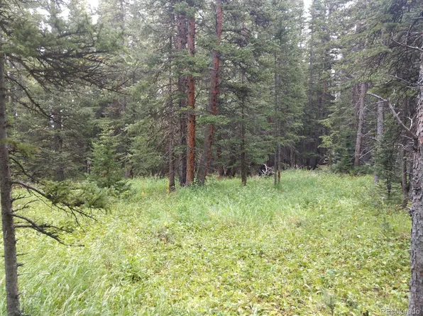 Silverheels Pl, Fairplay, CO 80440