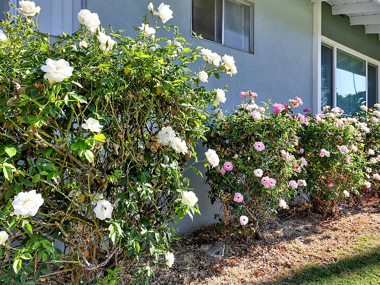 950 Palmbrook Dr — Photo 10