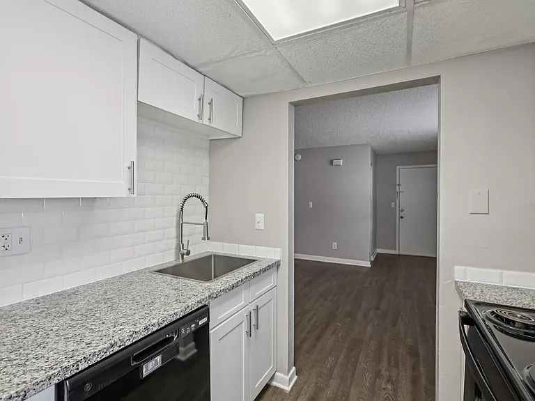 Meridian Luxury Condominiums — Photo 10