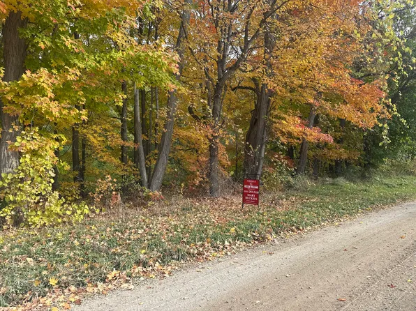 12831 Strotheide St NE, Belding, MI 48809