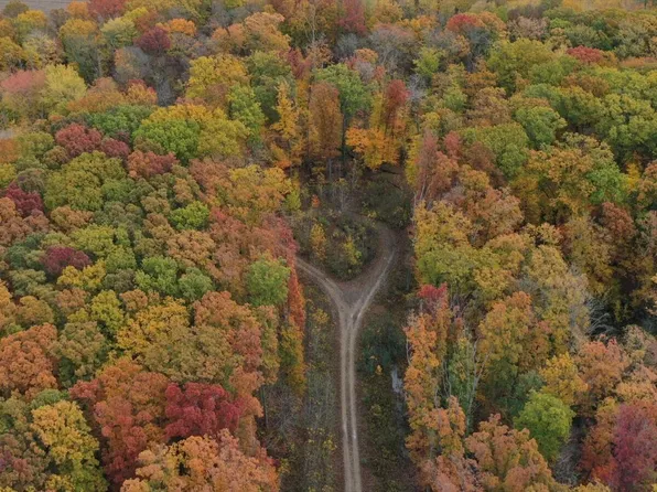 Meadowood Ln Lot 2, Lakeside, MI 49116