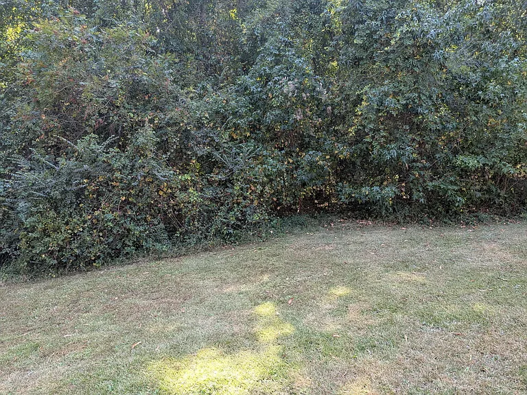 605 S Rucker Dr — Photo 12