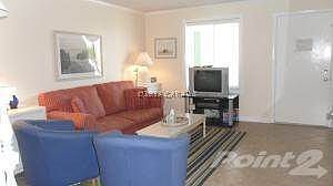 Living Area - Another shot
