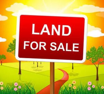 0 Hinton Sadieville Rd, Sadieville, KY, 40370