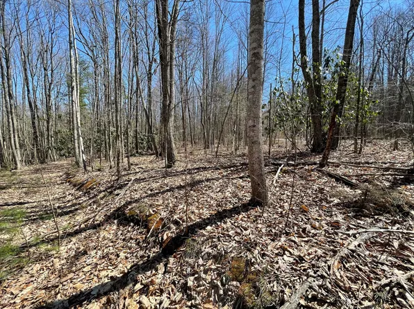 Lightnen Rd, Parrottsville, TN 37843