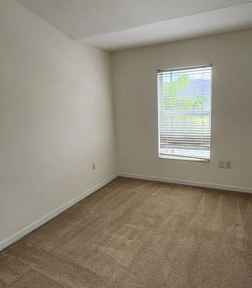 8735 Clara Elizabeth Ln — Photo 24