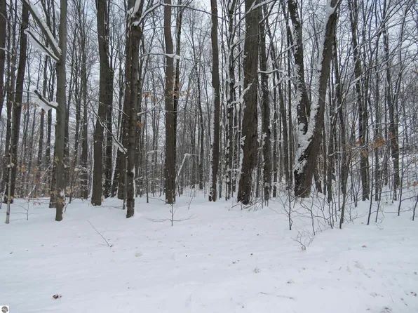 0 W 38th Rd, Harrietta, MI 49638