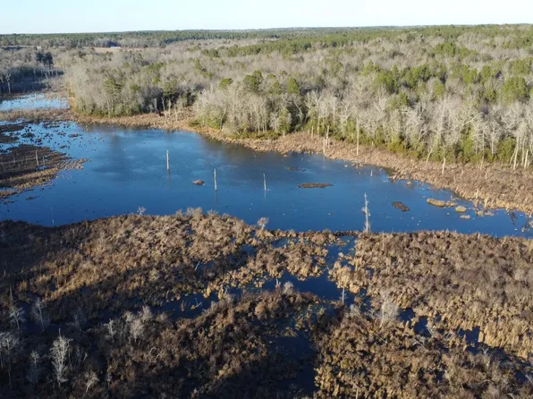 Millers Pond Rd, Wagener, SC 29164